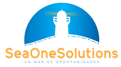SEA ONE SOLUTIONS/SEAONET
